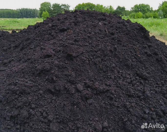 Чернозем