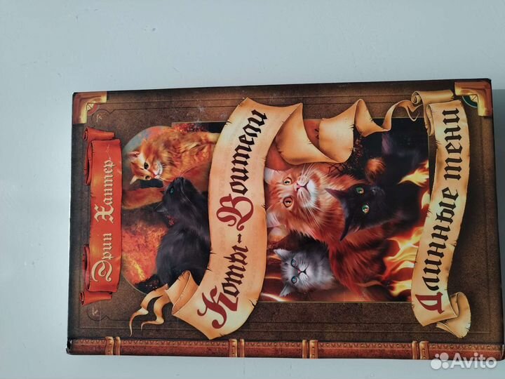 Длинные тени, Коты-воители