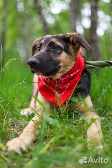 Спасите меня из приюта