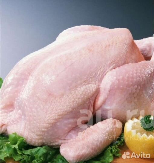 Мясо бройлеров