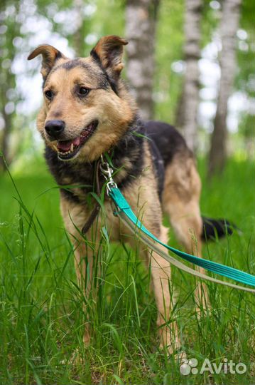 Заметь меня