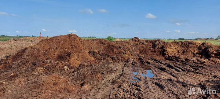 Навоз коровий