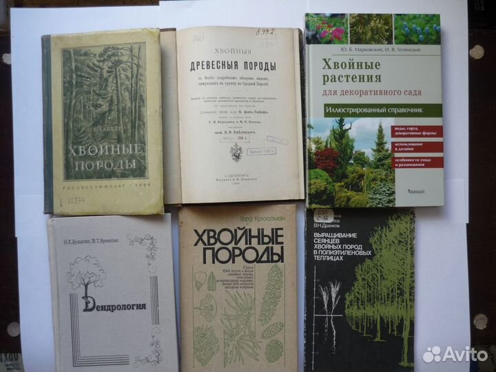 Тарасенко М.Т. Зеленое черенкование