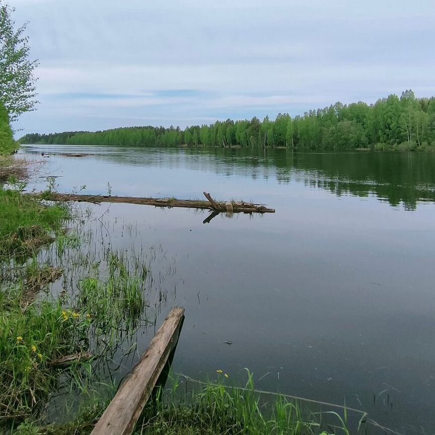 Квартира 1-комн. 27.2 м² в Суда — фото 11 из 21