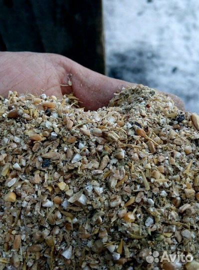 Прикормка для рыбалки