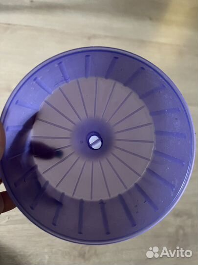 Колесо для хомяков, лоток для грызунов, домик