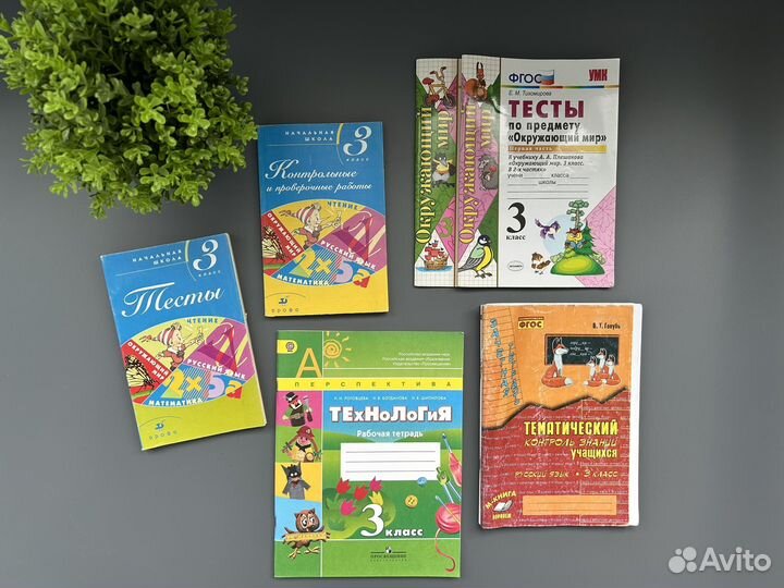 Рабочие тетради 3 класс