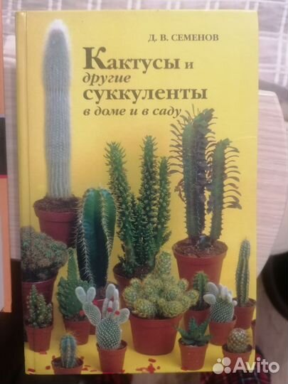 Кактусы и суккуленты