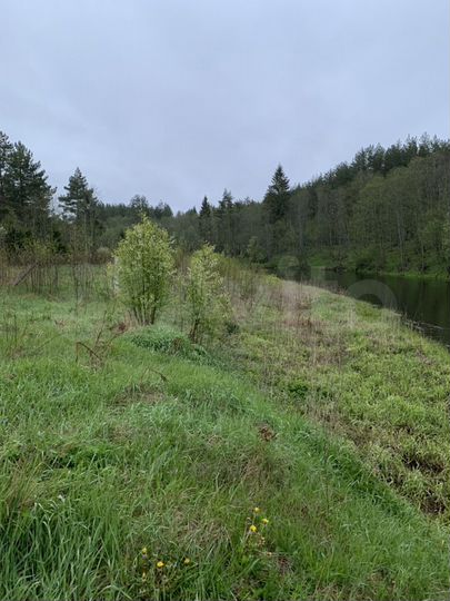 Участок 55 сот. (ИЖС)