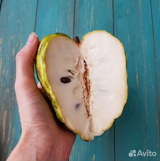 Фрукты под заказ из Таиланда