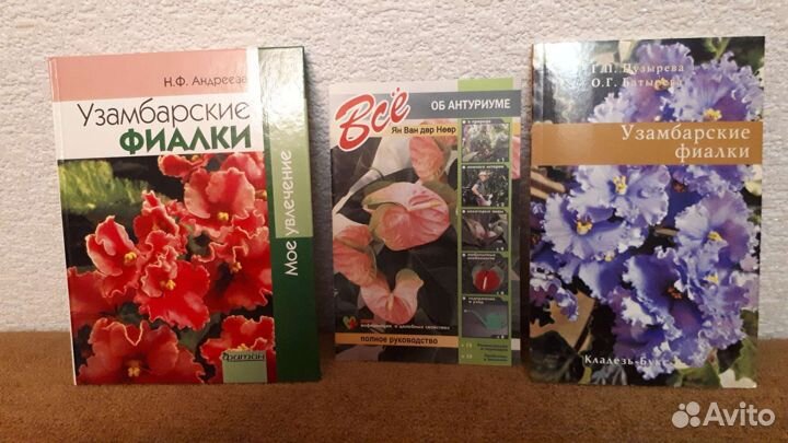 Люси Уорсли, Монестье, цветоводство