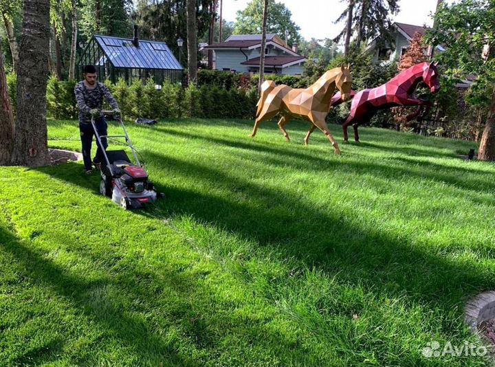 Рулонный газон