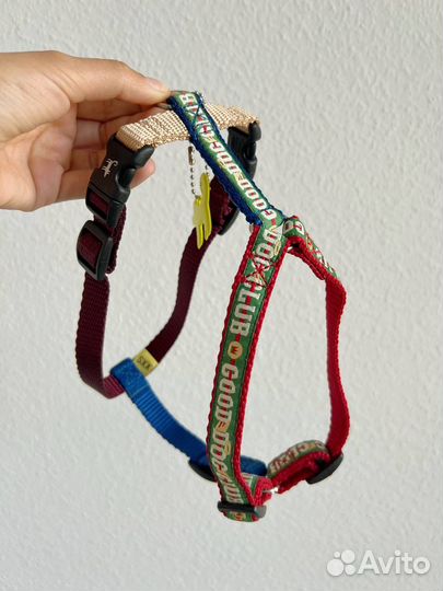 Шлейка для маленькой собаки