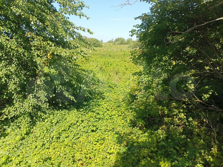 Участок 12 га (СНТ, ДНП)