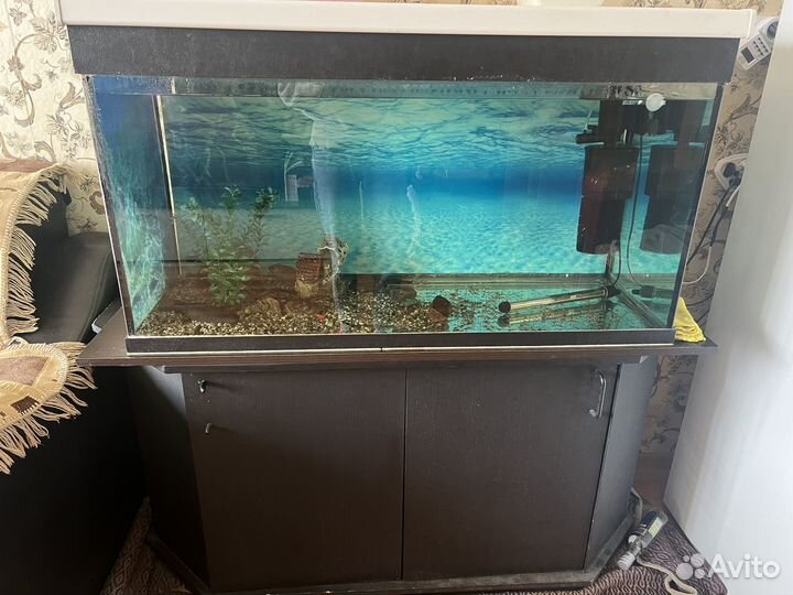 Аквариум