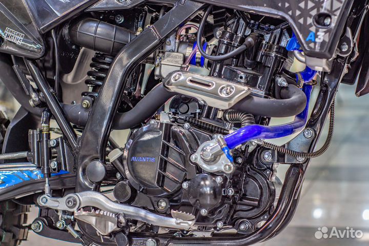 Avantis LX 300 (CBS300/ZS174MN-3)