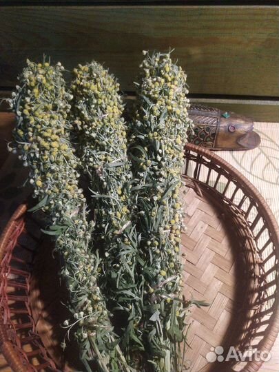 Скрутки из полыни