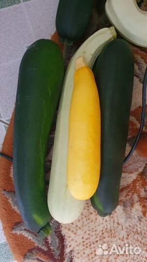 Кабачки цукини