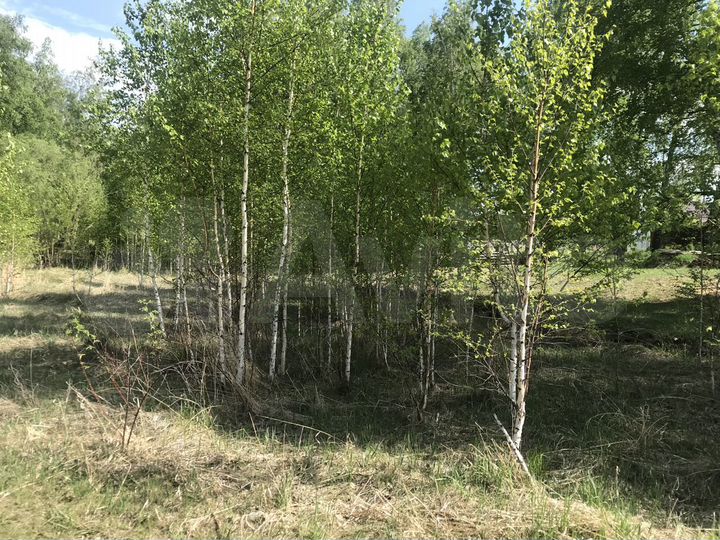 Участок 13 сот. (СНТ, ДНП)