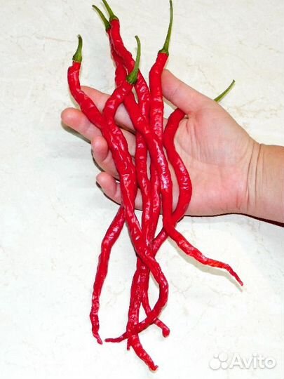 Разные сорта перца острого и суперострого