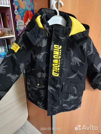 Куртка/штаны весна/деми