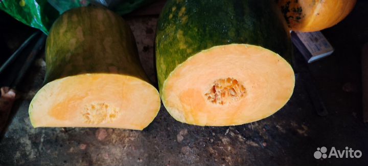 Тыква со своего огорода