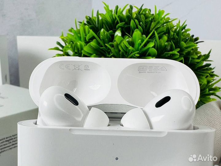 Airpods Pro 2 (Гарантия, Чехол)