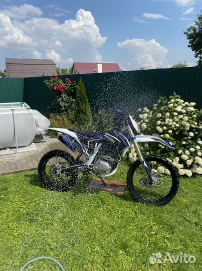 Avantis A2 basic 172fmm птс