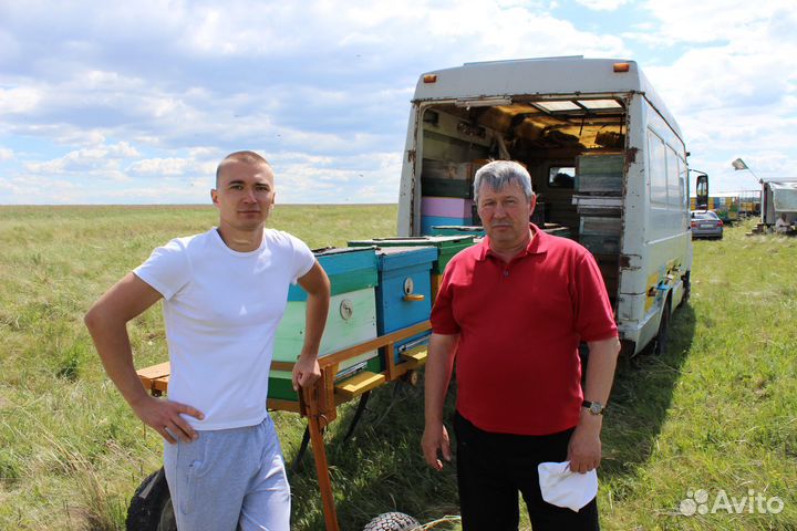 Мёд оптом - своя пасека, цветочный - 7кг