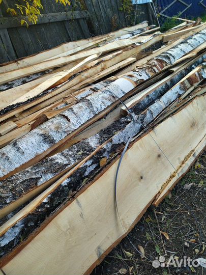 Горбыль берëзовый