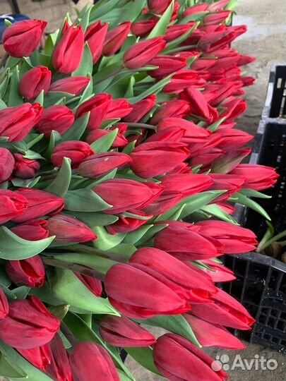 Доставка цветов и букетов