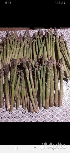 Рассада (Саженцы Спаржи)