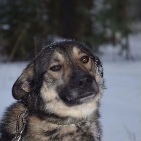 Вся жизнь в Приюте