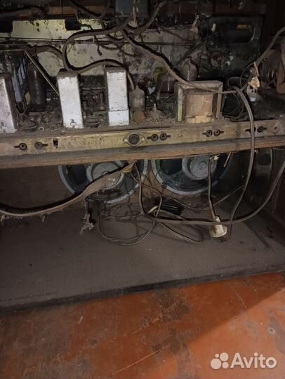 Радиола ригонда