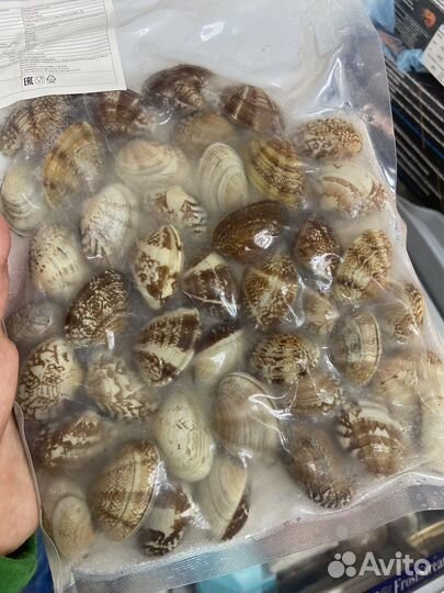 Клемы вонголе