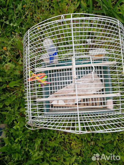 Клетка для попугая бу