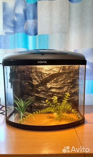 Аквариум
