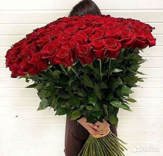Высокие Розы Гиганты Доставка Круглосуточно