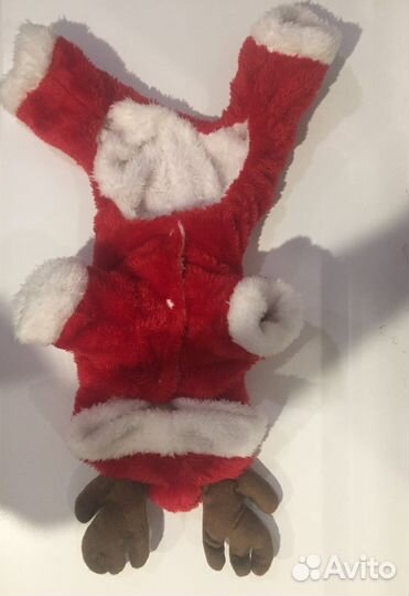 Костюм для маленькой собачки новый с биркой