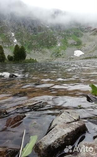 Вип-Туры по Алтаю 2 дня