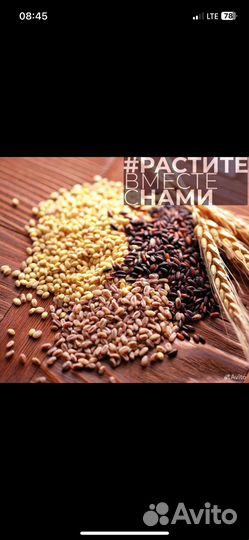 Комбикорм оптом и в розницу