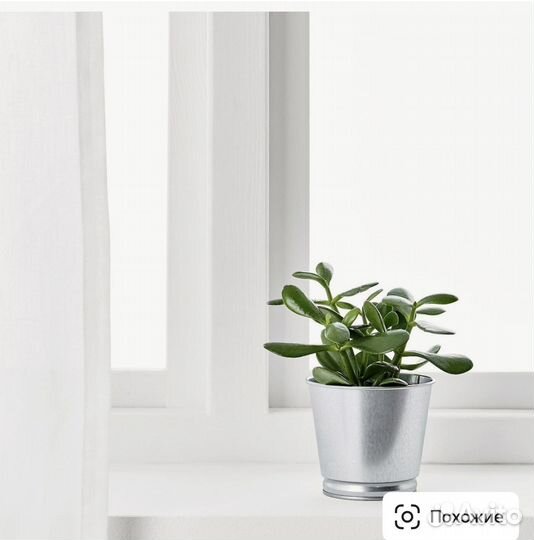 Кашпо Икеа bintje