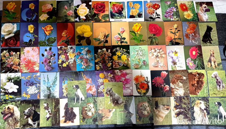 Открытки артистов, цветов и пр