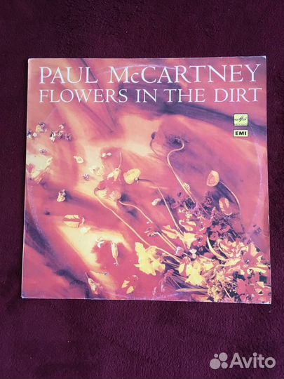 Paul McCartney - Flowers in the dirt