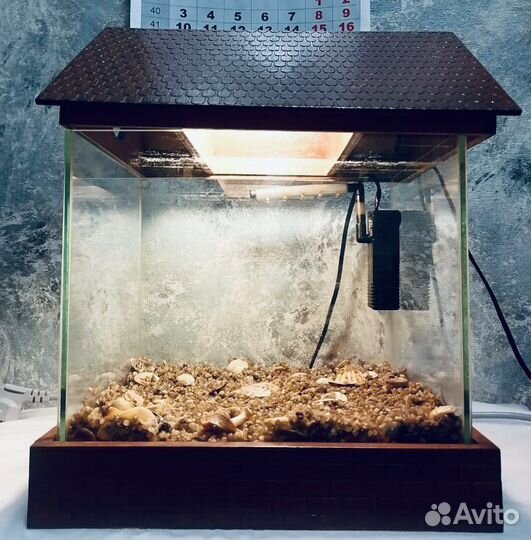 Аквариум