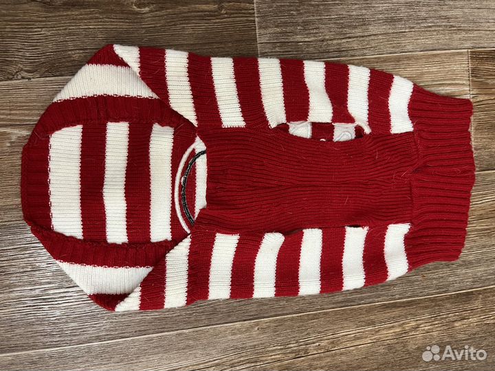 Одежда для собак