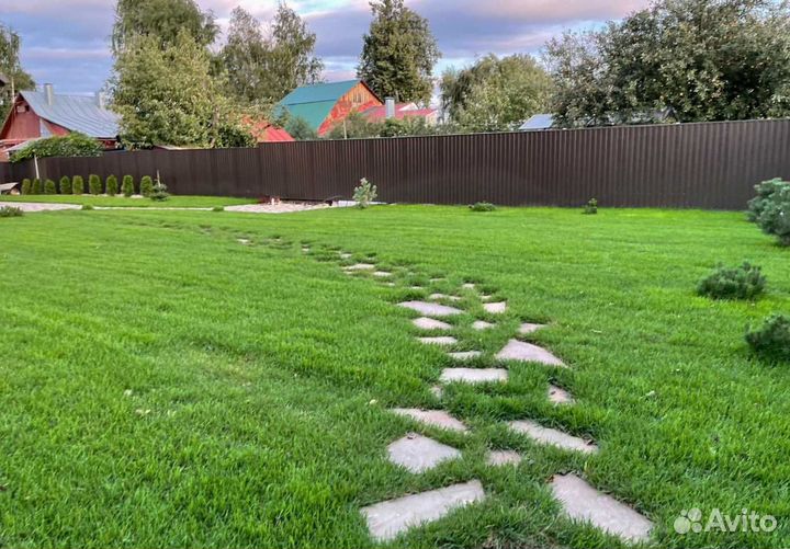 Рулонный газон, газон посевной