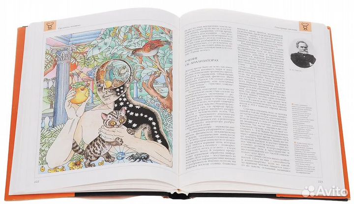 Энциклопедия для детей 