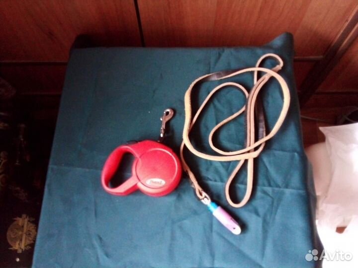 Принадлежности для маленькой собаки