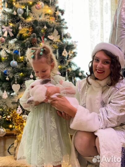 Дед Мороз,Снегурочка и кролик Москва, Химки